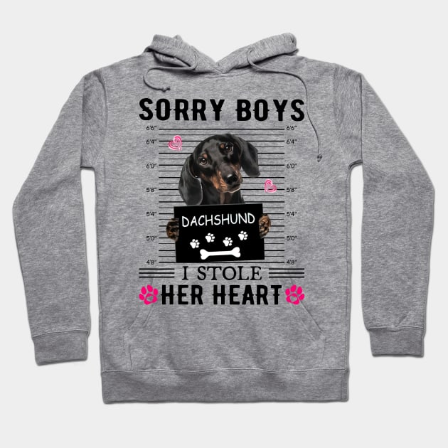 Black Dachshund Sorry Boys I Stole Her Heart Hoodie by PlumleelaurineArt